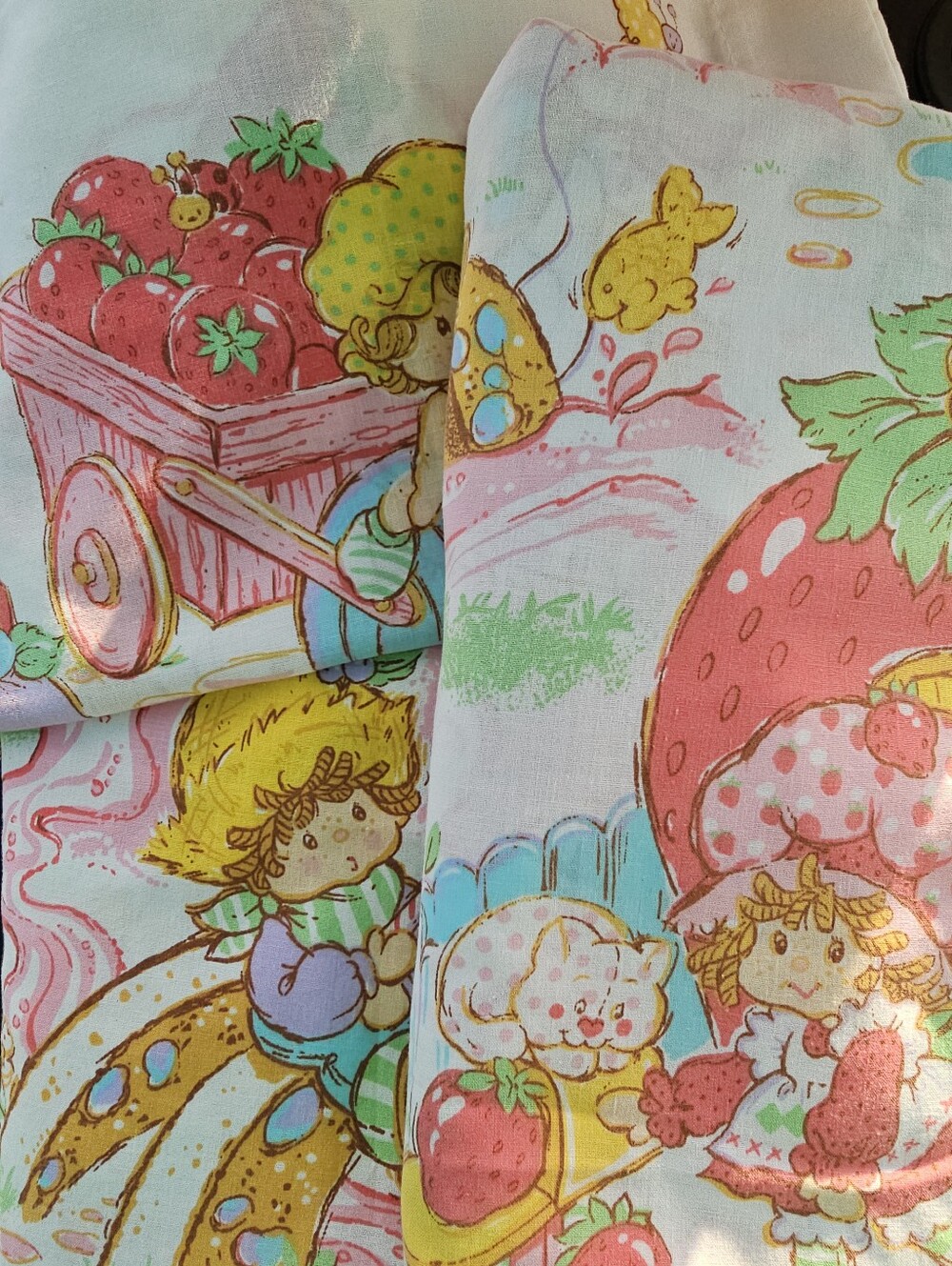 1980s Vintage American Greetings Strawberry Shortcake Twin Bed Sheet Set